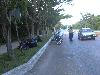 limpieza 2004 de playas16